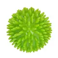Dog Comets Cosmic Egg - M