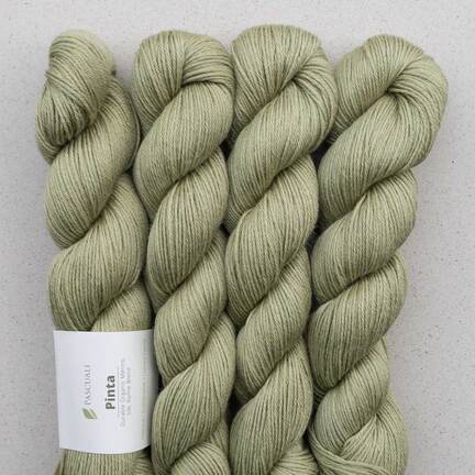 4 garnnoegle af maerket pinta fra pascuali i farven pistachio farvenummer 105
