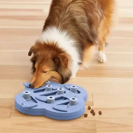 Hund leger med aktivitetslegetøjet Dog Hide N Slide Lilla Level 2 fra Nina Ottosson