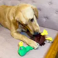 Hund med Kong Shakers Bobz Mallard