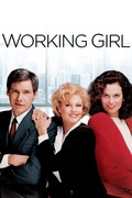 Working Girl, Baby Boom, The Banger Sisters, DVD Comedy Movie