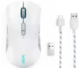 En hvid gamingmus med RGB-belysning, en USB-dongle og et aftageligt stribet USB-kabel. Musen har to knapper på siden og et rullehjul. Mærkenavnet Legion er synligt på musen.