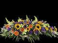 Kistepynt farverig gule solsikker røde Gerbera