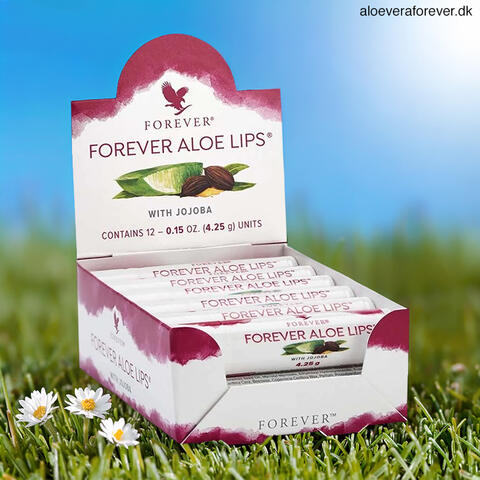 Forever Aloe Lips 12 stk. ske | Dansk officiel forhandler