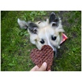 Woolf Hearts of duck or chicken with rice - 100g