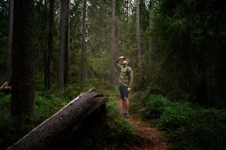 Pinewood Tiveden TC-Strech Shorts - Herre sorte