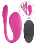 We-Vibe Secret Joyride – fjernstyret vibrator i silikone med app-kontrol