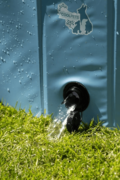 CoolPets Pool 100x25cm