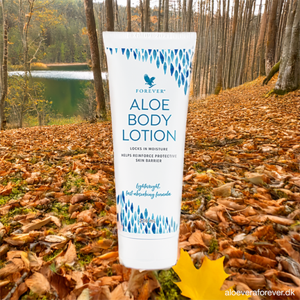 Aloe Body Lotion