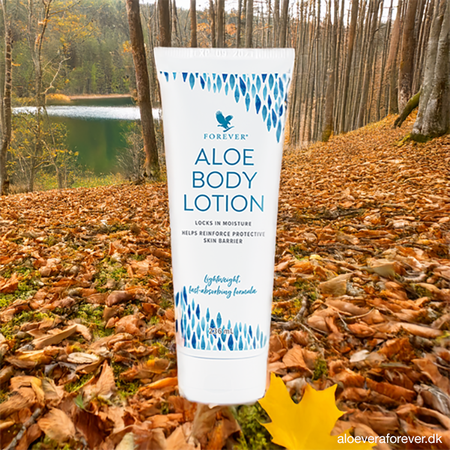 Aloe Body Lotion