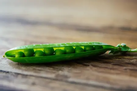 Kelverdon wonder ærter