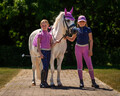 QHP Gwenn serie i lyseroed til pony og barn