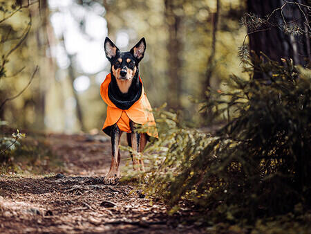 Paikka Recovery Regnfrakke - Orange