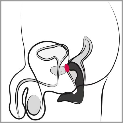 Rebel - Genopladelig Prostata Stimulator