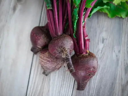 Frø til stribede rødbeder