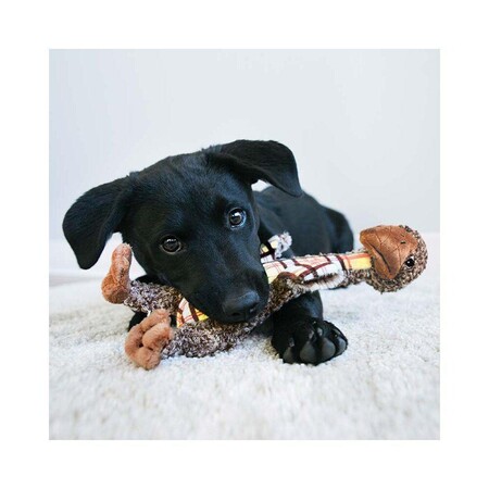 Hund med Kong Shakers Luvs Bird