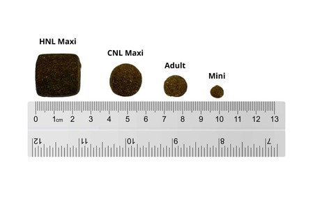 Chicopee pillestørrelse