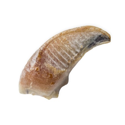 Snack'it Kalveklov m. Paté 25stk.