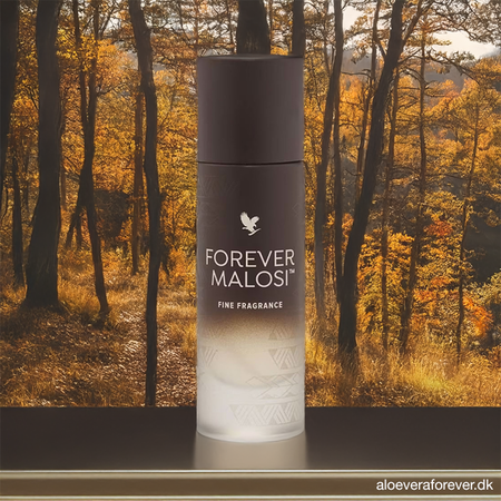 Forever Malosi parfume - maskulin duft til mænd fra Forever Living