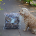 Snack'it Kaninlunger 1kg