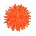 Dog Comets Cosmic Egg - S