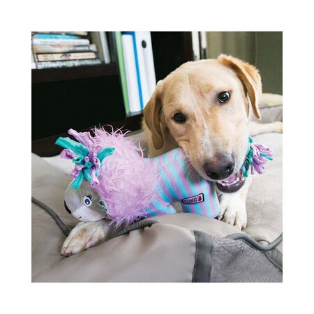 Hund Med Kong Knots Carnival Lion