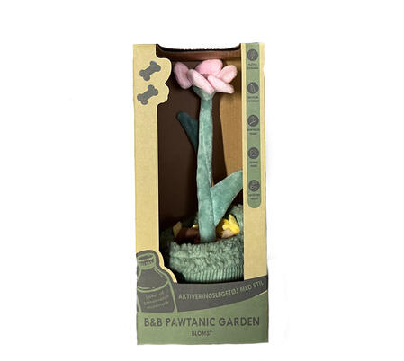 B&B Pawtanic Garden Snuseblomst – Snusetæppe 30 cm