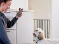 Dogspace Lucky extenting Pet gate - sort