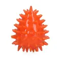 Dog Comets Cosmic Egg - S