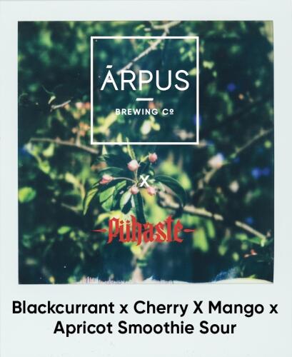 Arpus - Ārpus X Puhaste Blackcurrant X Cherry X Mango X Apricot Smoothie Sour Ale - DinØl.dk