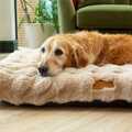 Scruffs Alpine pude - Champagne