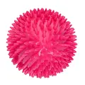 Dog Comets Cosmic Egg -L