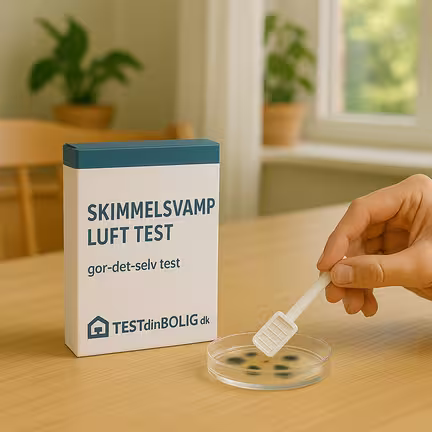 Billedet viser eksempel på skimmelsvamp gør-det-selv luft test