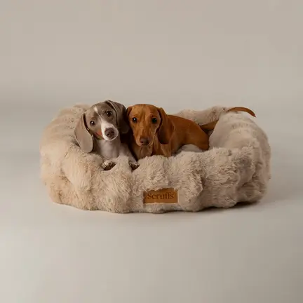 Scruffs Alpine seng - Champagne