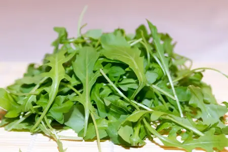 Frø til Rucola salat