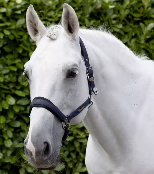 Premier Equine Duca grime & træktov - Navy, Pony