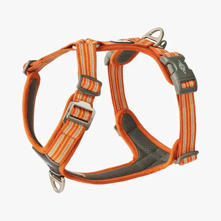 Dog Copenhagen Comfort air sele 3.0 ORANGE SUN