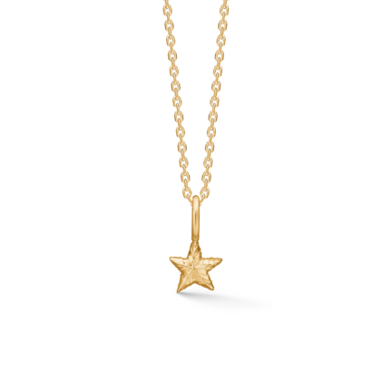 Shiny Star necklace in gold-plated silver - studio.z