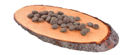 Carnilove True Fresh Adult Beef 11,4kg