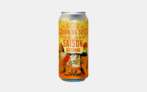 Brug Saison Automme - Farmhouse Ale fra Burning Sky til en forbedret oplevelse