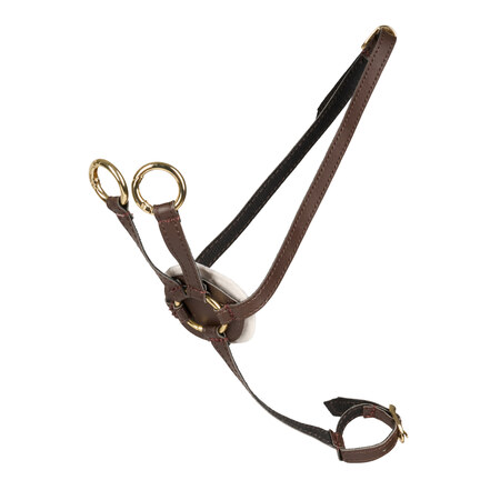 Cheval Roi brun martingal til kæphest