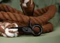line hund, hundesnor til store hunde, hvorfor graver hunde i sengen billig hundeseng hundekurv billig aktivitet til hund sikkerhedssele til bil varmt dækken til hund hundekurv bil hvorfor graver hunde hvorfor graver min hund i sofaen min hund graver i hav