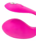 We-Vibe Secret Joyride – fjernstyret vibrator i silikone med app-kontrol