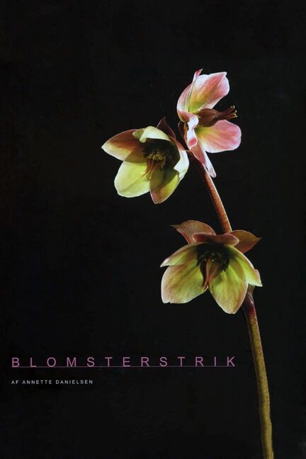 forside til strikkebogen blomsterstrik af annette danielsen