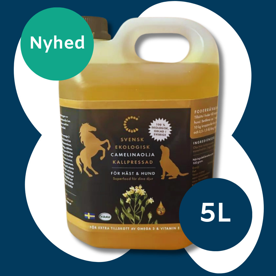 Se Camelina olie økologisk 1 L - 5 Liter hos Gode Bakterier