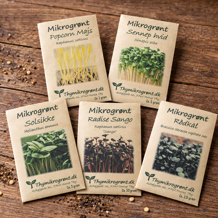 Fem poser mikrogrøntfrø med popcornmajs, hvid sennep, solsikke, Radise Sango og rødkål