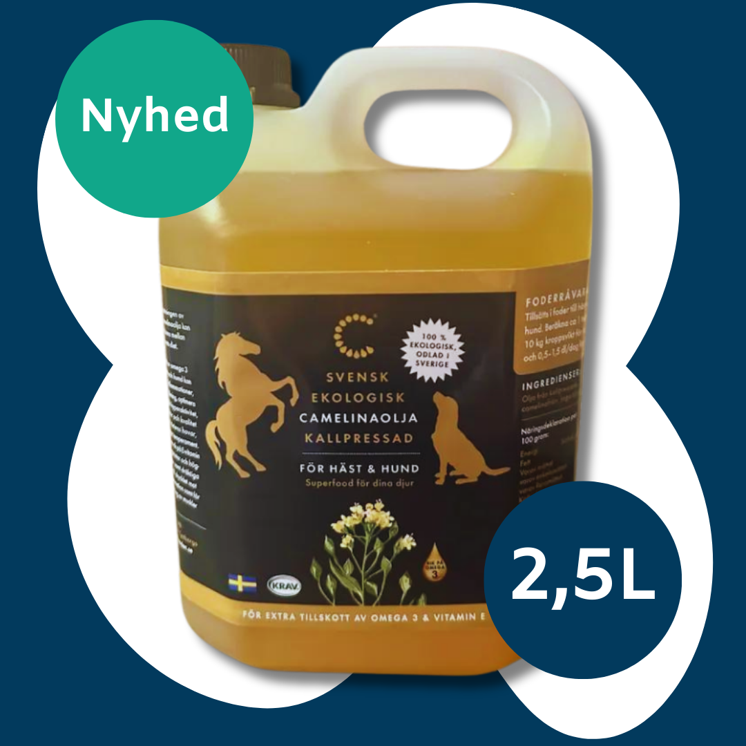 Camelina olie økologisk 1 L - 2,5 Liter