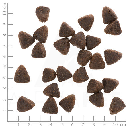 Wolfsblut Jack Rabbit Adult Medium - 12,5kg