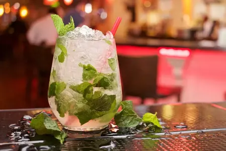 Frø til Mojito mynte