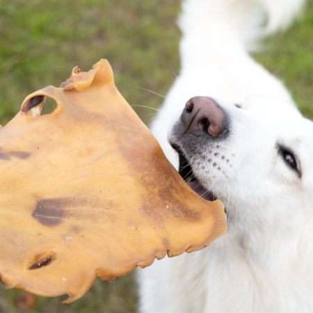 Snack'it Pandebrask plade - Okse
